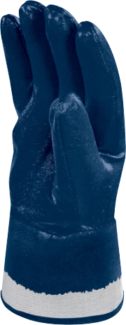 Text